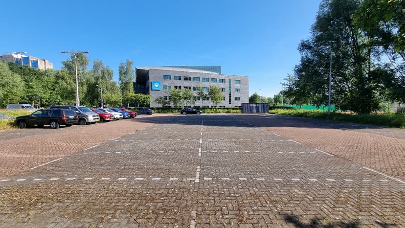 Mspace Coworking Alpha